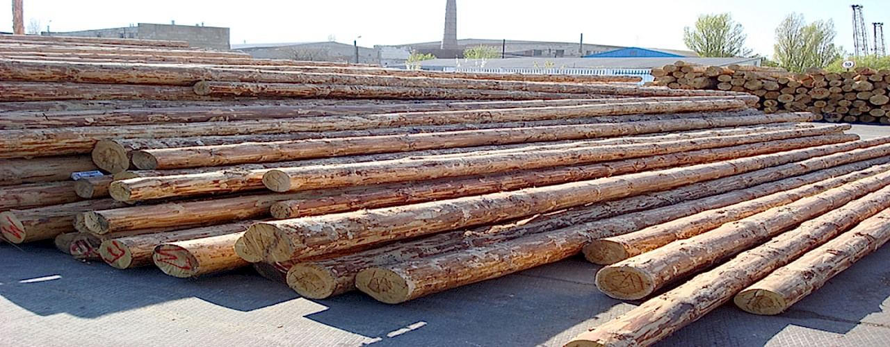 Ankara_direk_sırık_ceyrek