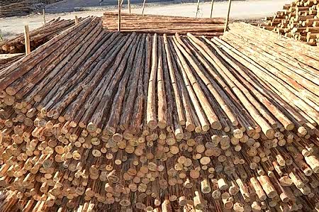 Yağmur Kereste Ankara Sincan - İbrahim Sagun