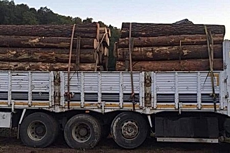 Yağmur Kereste Ankara Sincan - İbrahim Sagun